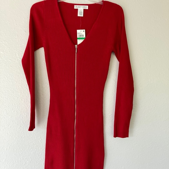 Planter Gold | Red Dress - Picture 2 of 7